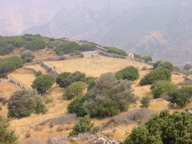 Naxos Berglandschaft Fahrt nach Apollon 3.JPG -                                